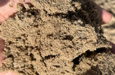 Sand Grit 